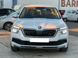 
										SKODA Kamiq full									